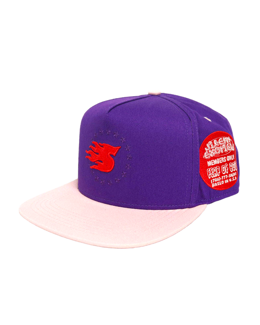 PLUM SNAPBACK